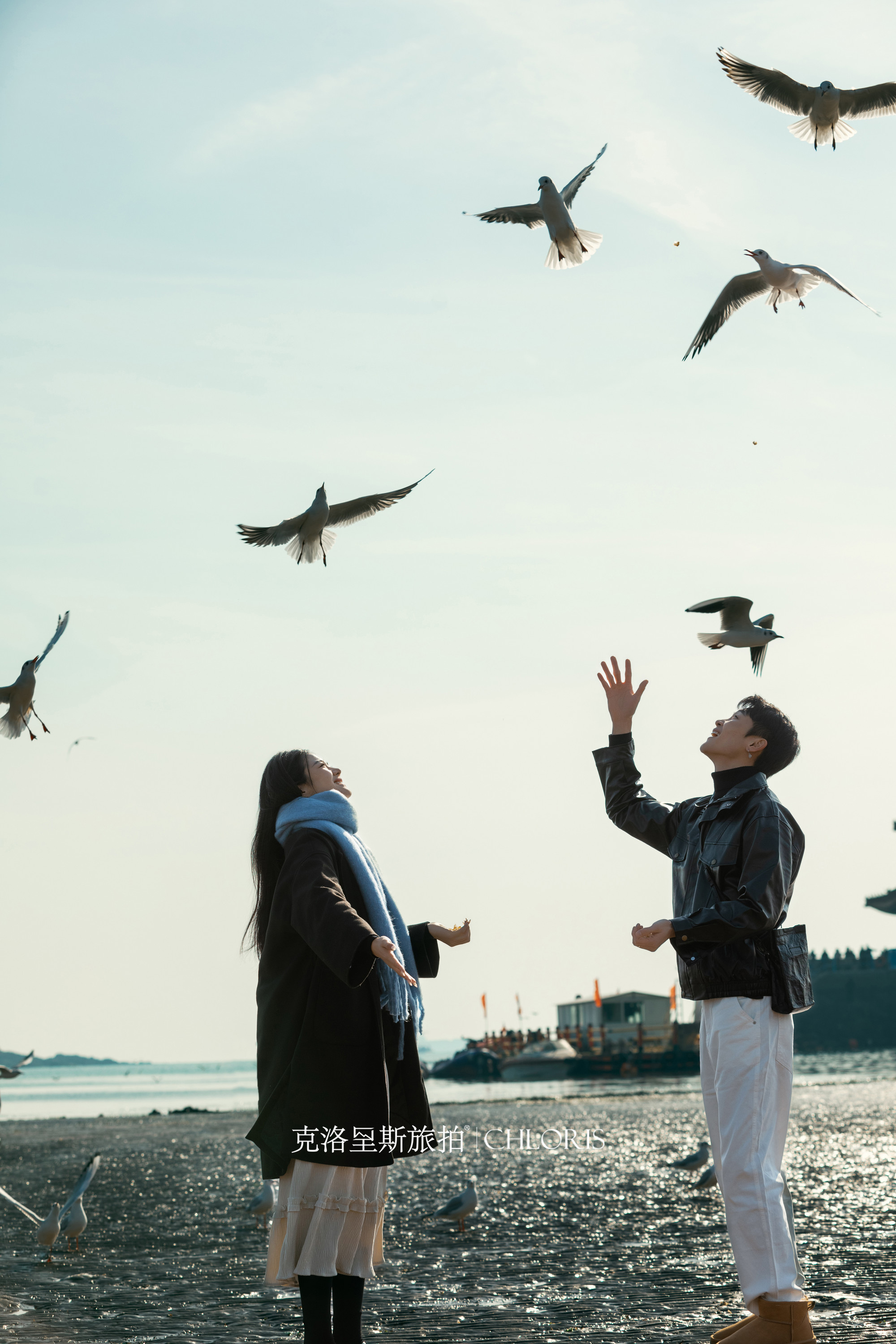 冬季-海鸥婚纱照1